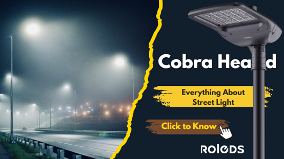 What is cobra head street light